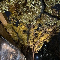 キハチ 青山本店 - 