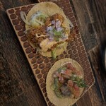 タコファナティコ - 