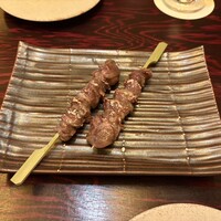 鳥ばか一代 - 