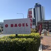 O Bagel Broadbeach