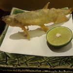 はらまさ - 本シシャモアップ