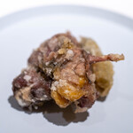 レストラン オオツ - 2025.9 那珂川産天然すっぽん唐揚げ