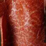 和牛焼肉 伍感 - くっとーと（@kuttoto.gourmet）／撮影