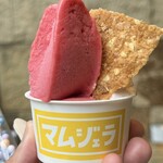 マムアンドポップス ジェラート - 