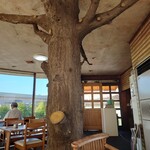 カフェはたち - 