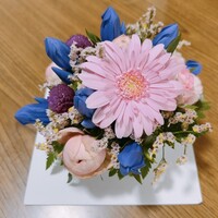 日本料理 彩羽 - 