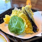 Takeda Soba Furin Chaya - 天ぷら(接写)