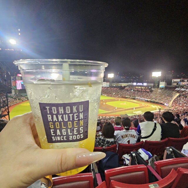 WORLD PITA - 宮城野原（野菜料理）の写真