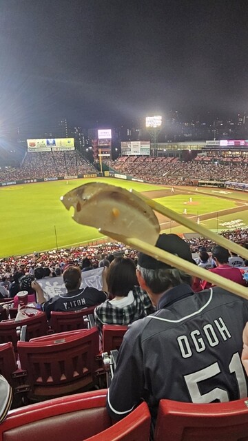 WORLD PITA - 宮城野原（野菜料理）の写真