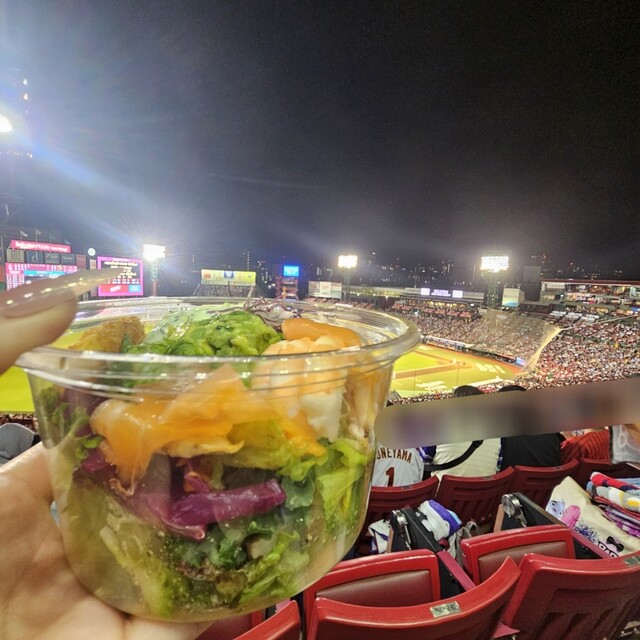 WORLD PITA - 宮城野原（野菜料理）の写真