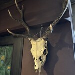 サンフォコン - 