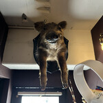 サンフォコン - 