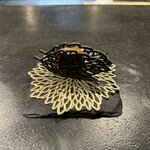 サンフォコン - 