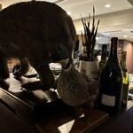 サンフォコン - 