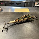 サンフォコン - 