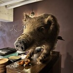 サンフォコン - 