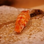 銀座 鮨 しょう介 - 