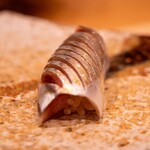 銀座 鮨 しょう介 - 