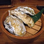 牡蠣 タコ居酒屋 明石 - 