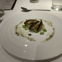 ヤマガタ サンダンデロ - 