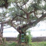 海辺レストラン ZEN - 