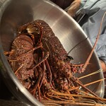 TEPPANYAKI 10 STEAK & LOBSTER - 