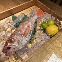 のどぐろ専門 銀座 中俣 - 