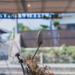 ジェラテリア フィオレ - 