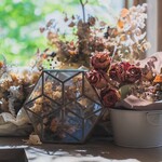 ジェラテリア フィオレ - 