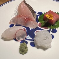 雨後晴 青山 - 旬の鮮魚盛り合わせ