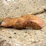 銀座 鮨 しょう介 - 