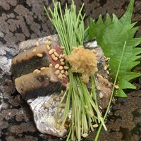 江戸前寿司 日ノ出茶屋 横浜 - 