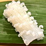 寿司処 やまざき - いか