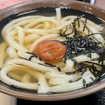 手打十段 うどんバカ一代 - 梅うどん　アップ