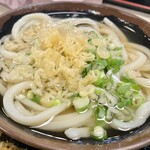 手打十段 うどんバカ一代 - 掛けうどん、アップ