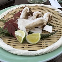 モリタ屋 木屋町店 - 松茸