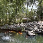 ダイニング若竹 - お庭