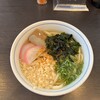 Madonna Tei - じゃこ天うどん