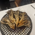 ル・ミュゼ・イデア - 