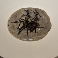 レストラン オオツ - 