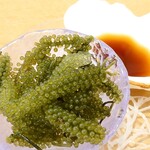 北の恵みと沖縄料理 大衆酒場 こりす - 