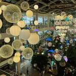 FOREST OUTINGS 포레스트아웃팅스 - 