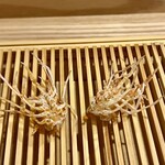 天ぷら上村 - 海老