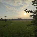 Restaurant Locavore - 