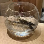 橦木町 しみず - 