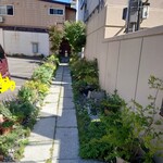 とんとん拍子 - 前回来たときは雪で見えなかった緑