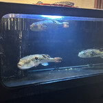 泳ぎとらふぐ活蟹料理 あじ平 - 