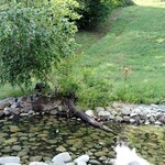 ユニテカフェ - 