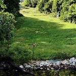 ユニテカフェ - 