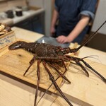 日本料理 みや  - 